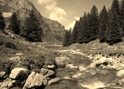 Szary + Sepia