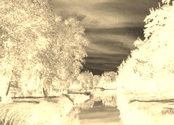 Sepia + Negatyw