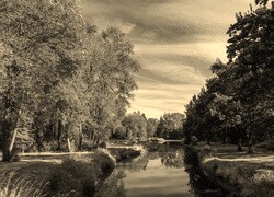 Szary + Sepia