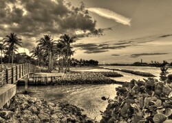Szary + Sepia