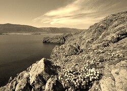 Szary + Sepia