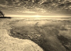 Szary + Sepia
