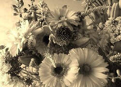 Szary + Sepia