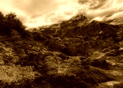 Sepia