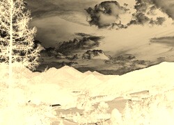 Sepia + Negatyw