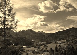 Sepia
