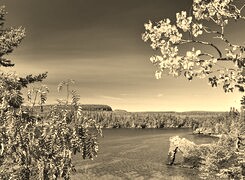 Sepia