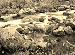 Sepia
