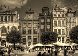 Szary + Sepia