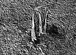 Skamielina