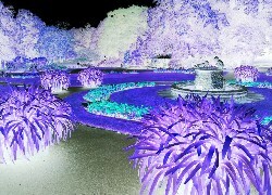 Negatyw
