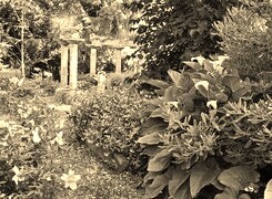 Szary + Sepia