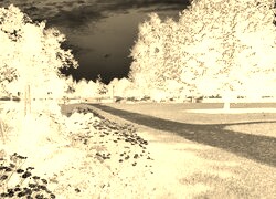 Sepia + Negatyw