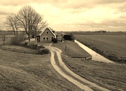 Szary + Sepia