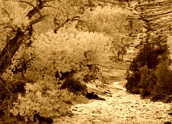Sepia