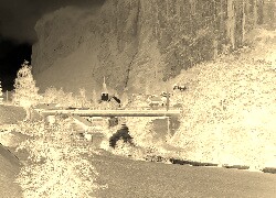 Sepia + Negatyw