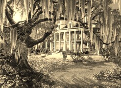 Szary + Sepia