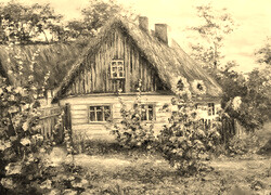 Szary + Sepia