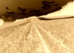 Sepia + Negatyw
