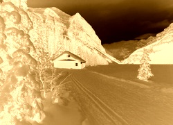 Sepia + Negatyw