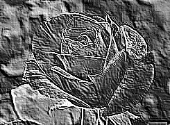 Skamielina