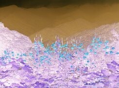 Negatyw