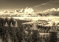 Szary + Sepia