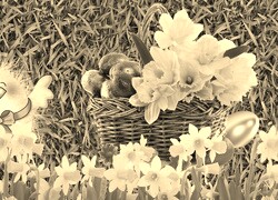 Szary + Sepia