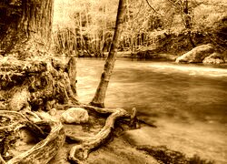 Sepia