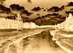 Sepia + Negatyw