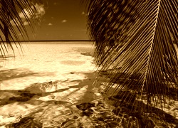 Sepia