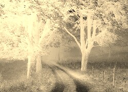 Sepia + Negatyw