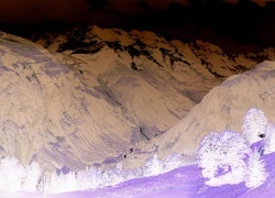 Negatyw