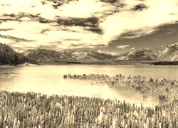 Sepia