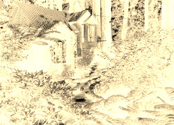 Sepia + Negatyw