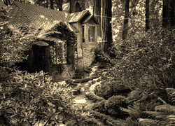 Sepia
