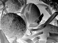 Szary + Negatyw