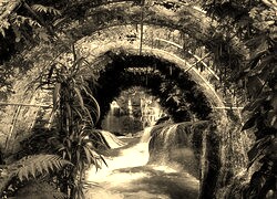 Sepia