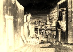 Sepia + Negatyw