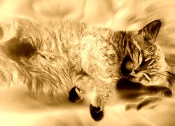 Sepia + Negatyw