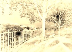 Sepia + Negatyw