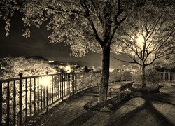 Szary + Sepia