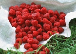 Oryginalny obrazek