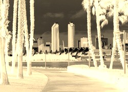 Sepia + Negatyw