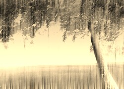 Szary + Sepia