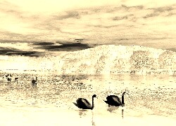 Sepia + Negatyw
