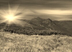 Sepia