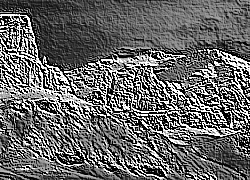 Skamielina