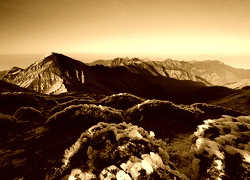 Sepia