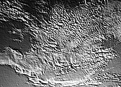 Skamielina